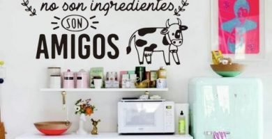 Vinilo frase vegana vegan vegano